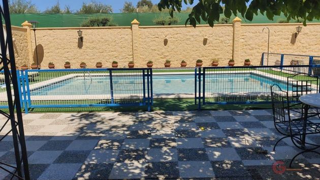 Foto 2 de Xalet en venda a Montilla de 8 habitacions amb terrassa i piscina