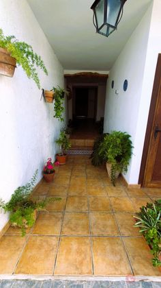Foto 2 de Chalet en venta en Pinar (El) de 7 habitaciones con terraza y piscina