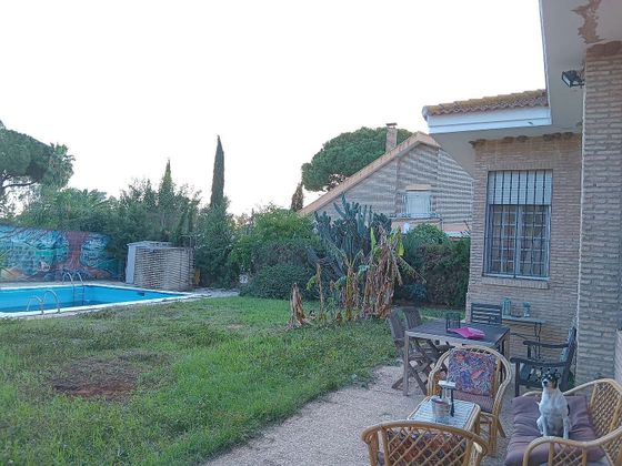 Foto 1 de Venta de casa en Carmona de 3 habitaciones con terraza y piscina