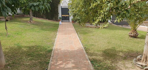 Foto 2 de Chalet en venta en Manantiales - Lagar - Cortijo de 7 habitaciones con terraza y jardín