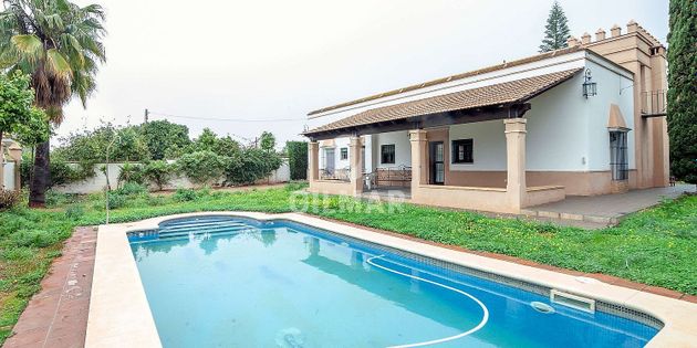 Foto 2 de Xalet en lloguer a Sanlúcar la Mayor de 4 habitacions amb terrassa i piscina