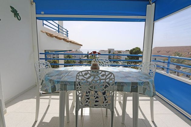 Foto 1 de Pis en venda a Alcossebre de 1 habitació amb terrassa i piscina