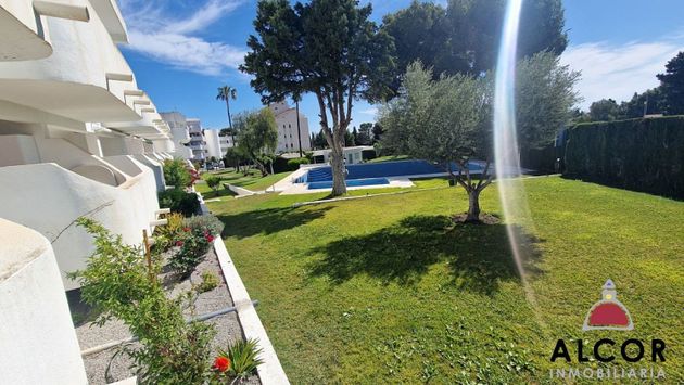 Foto 2 de Estudi en venda a Alcossebre amb terrassa i piscina