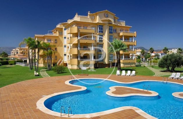 Foto 2 de Pis en lloguer a Oliva Nova de 3 habitacions amb terrassa i piscina