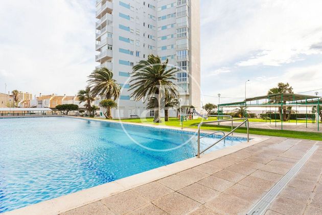 Foto 1 de Pis en venda a El Perellonet de 4 habitacions amb terrassa i piscina