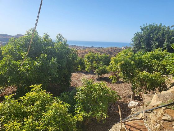 Foto 2 de Venta de terreno en Playa del Rincón de 8500 m²