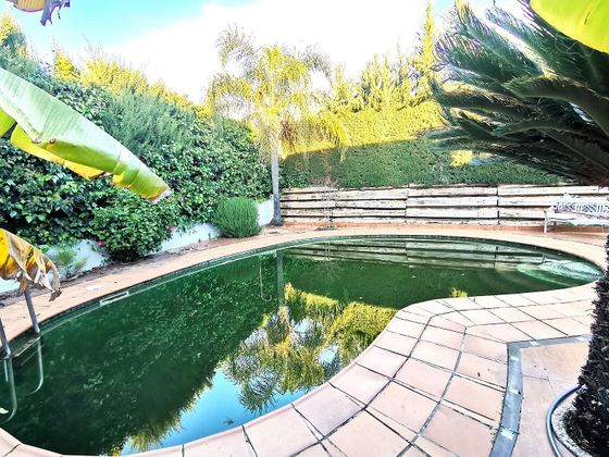 Foto 1 de Xalet en venda a Almensilla de 4 habitacions amb terrassa i piscina