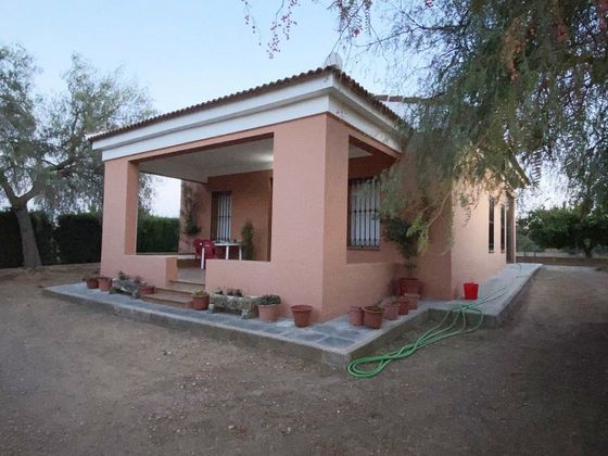 Foto 1 de Venta de casa rural en Villalba del Alcor de 2 habitaciones con terraza y calefacción