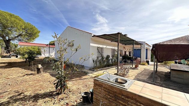 Foto 1 de Casa rural en venda a Bonares de 4 habitacions amb terrassa i jardí