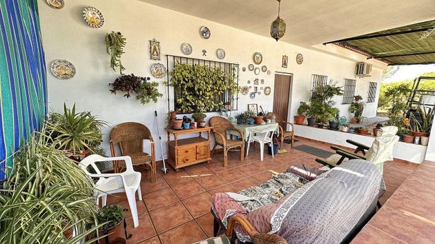 Foto 2 de Casa rural en venda a Bonares de 4 habitacions amb terrassa i jardí