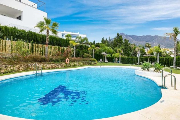 Foto 2 de Alquiler de piso en urbanización Lomas de Marbella Club Pueblo de 3 habitaciones con terraza y piscina