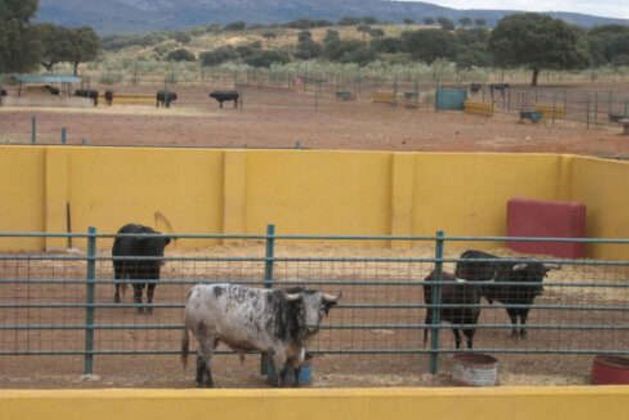 Foto 2 de Venta de terreno en Torrejón el Rubio de 50000 m²