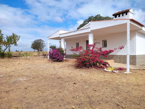 Foto 1 de Venta de casa rural en carretera Alburquerque Km de 3 habitaciones con terraza y jardín