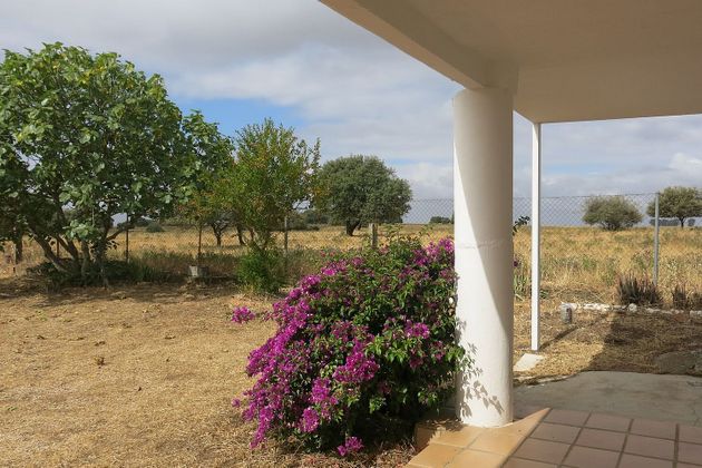 Foto 2 de Casa rural en venda a carretera Alburquerque Km de 3 habitacions amb terrassa i jardí