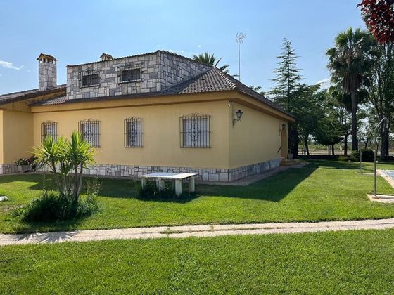 Foto 2 de Xalet en venda a calle Lugar Finca Corchuela de 5 habitacions amb terrassa i piscina
