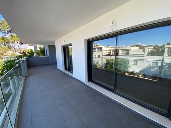 Foto 1 de Piso en venta en El Mayorazgo - El Limonar de 4 habitaciones con terraza y piscina