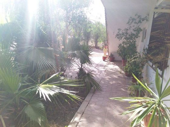 Foto 1 de Venta de chalet en La Hoya-Almendricos-Purias de 7 habitaciones con terraza y jardín