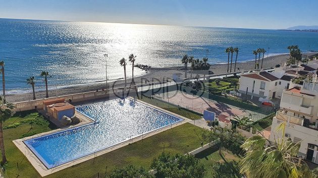 Foto 1 de Pis en lloguer a Algarrobo-Costa de 1 habitació amb terrassa i piscina