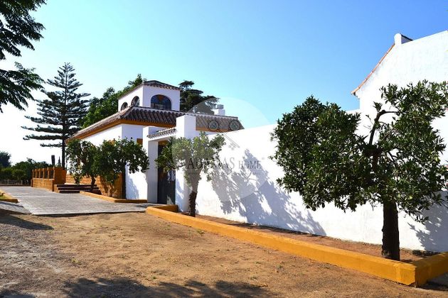Foto 2 de Xalet en venda a carretera Olivares de 6 habitacions amb terrassa i piscina