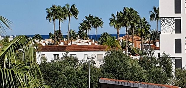 Foto 1 de Pis en venda a calle Ribera de 2 habitacions amb terrassa i piscina