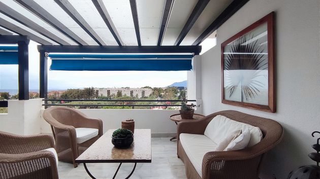 Foto 2 de Alquiler de piso en avenida De Lola Flores Medina Garden de 2 habitaciones con terraza y piscina