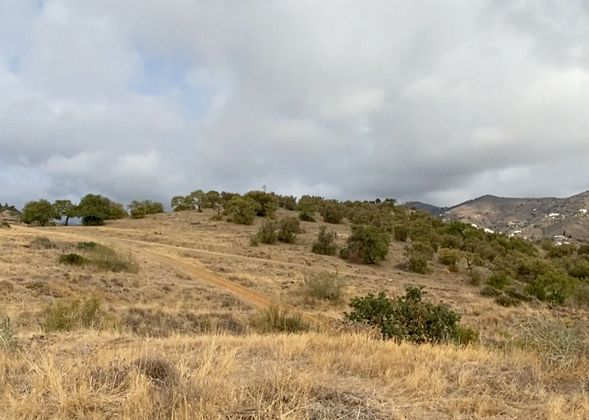 Foto 1 de Venta de terreno en El Candado - El Palo de 50000 m²