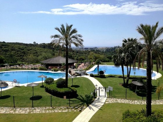 Foto 1 de Pis en venda a urbanización Parque Botanico Las Lomas de Guadalmi de 1 habitació amb terrassa i piscina