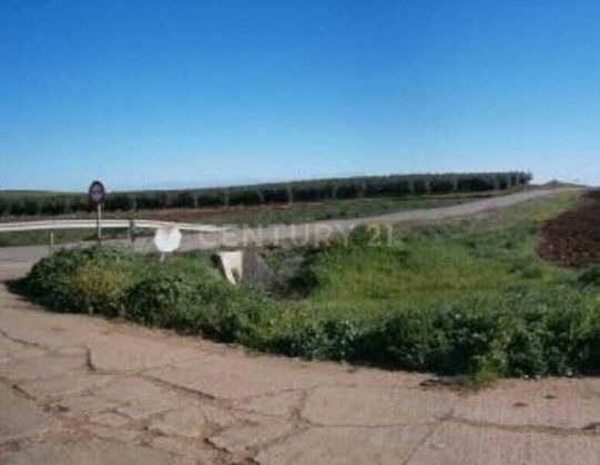 Foto 1 de Venta de terreno en carretera A Villalba de Los Barros de 16800 m²