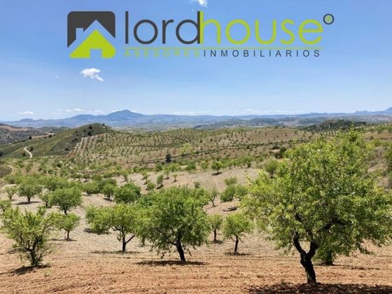 Foto 1 de Casa rural en venta en Zarcilla de Ramos-Doña Inés de 4 habitaciones y 208000 m²