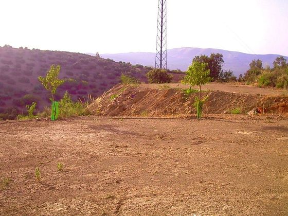 Foto 2 de Venta de terreno en Archidona de 8800 m²