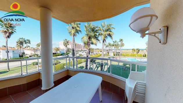 Foto 1 de Pis en venda a Oliva Nova de 2 habitacions amb terrassa i piscina