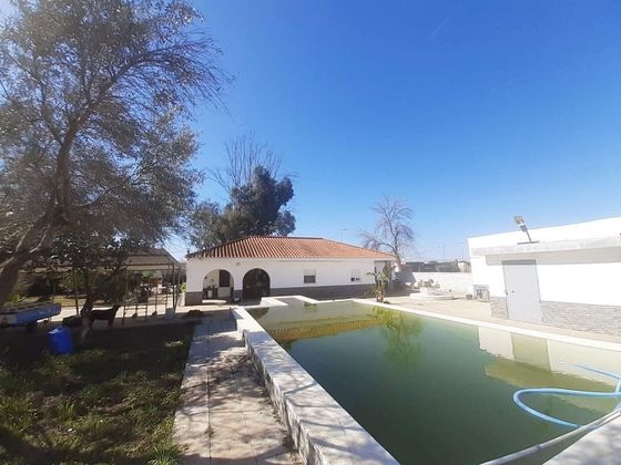 Foto 2 de Casa rural en venda a Utrera de 4 habitacions amb piscina i aire acondicionat