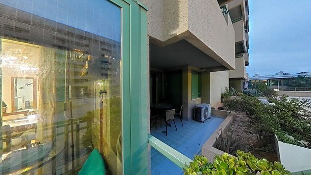 Foto 2 de Piso en venta en calle Mere Nostrum de 2 habitaciones con terraza y piscina
