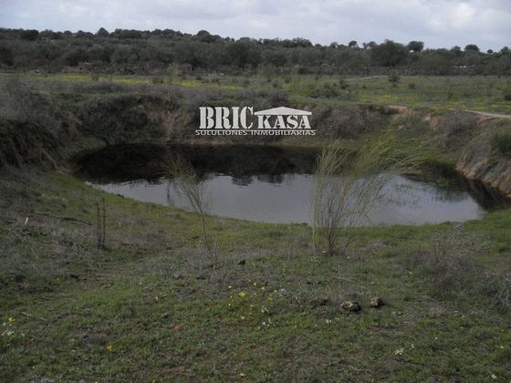 Foto 2 de Venta de terreno en Aldea del Cano de 105129 m²