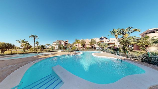 Foto 2 de Alquiler de piso en Mar Menor Golf de 1 habitación con terraza y piscina