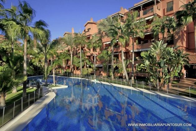 Foto 1 de Pis en lloguer a calle Rector Pascual Rivas Carrera de 2 habitacions amb terrassa i piscina