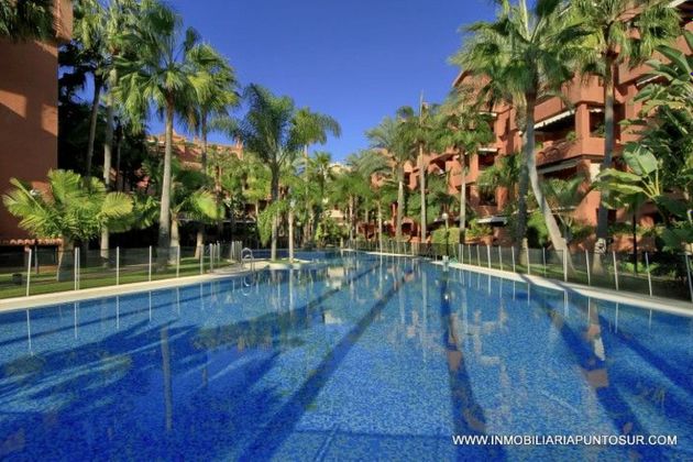 Foto 2 de Pis en lloguer a calle Rector Pascual Rivas Carrera de 2 habitacions amb terrassa i piscina
