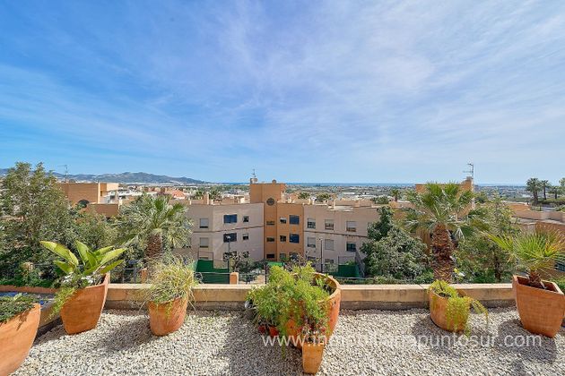 Foto 2 de Pis en venda a calle Azucarera de San Luis de 3 habitacions amb terrassa i piscina