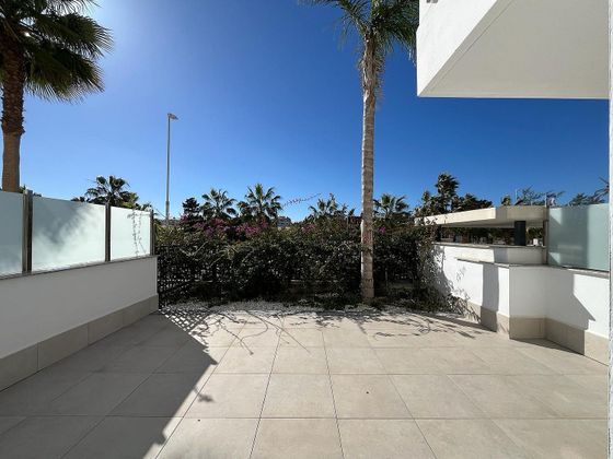 Foto 2 de Pis en venda a calle Rector José Vida Soria de 2 habitacions amb terrassa i piscina