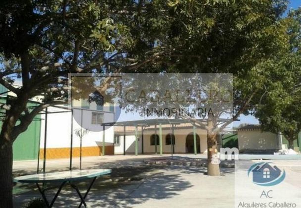 Foto 1 de Xalet en venda a Centro - Murcia de 5 habitacions amb terrassa i piscina