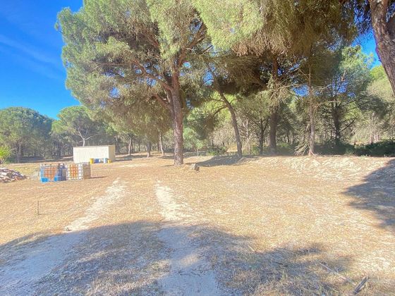 Foto 2 de Venta de terreno en Gibraleón de 11000 m²