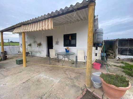 Foto 2 de Terreno en venta en Aljaraque de 3100 m²