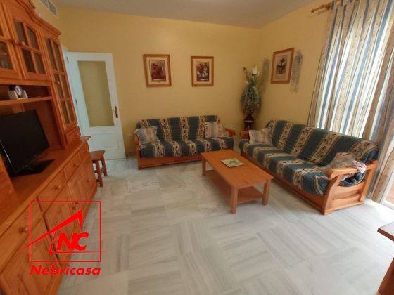 Foto 2 de Venta de piso en Costa Ballena - Largo norte de 2 habitaciones con terraza y piscina