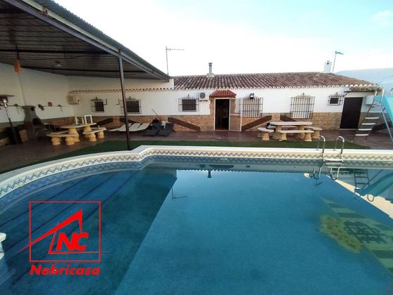 Foto 2 de Venta de casa en Cabezas de San Juan (Las) de 3 habitaciones con piscina y garaje