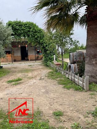 Foto 2 de Venta de terreno en Cabezas de San Juan (Las) de 6000 m²