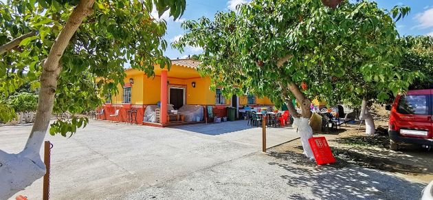 Foto 2 de Casa en venda a Norte - Barrio del Pilar - El Reñidero de 3 habitacions amb jardí