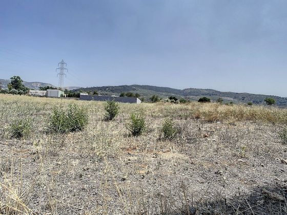 Foto 1 de Venta de terreno en Archidona de 1000 m²