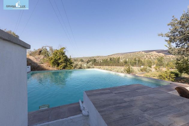 Foto 1 de Venta de chalet en Iznalloz de 3 habitaciones con terraza y piscina