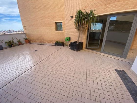 Foto 2 de Ático en alquiler en Penya-Roja de 4 habitaciones con terraza y piscina