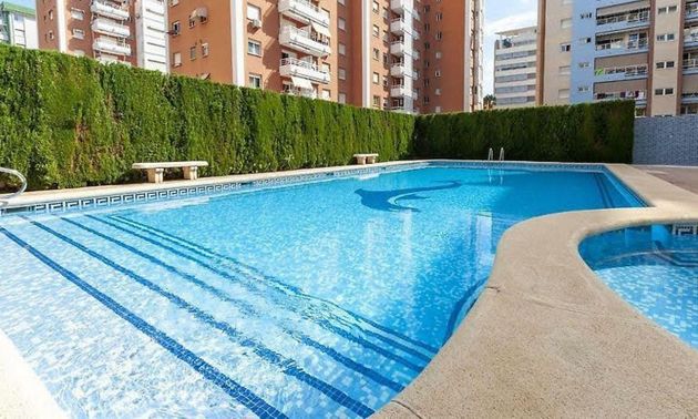 Foto 1 de Pis en lloguer a calle De Les Illes Balears de 2 habitacions amb terrassa i piscina
